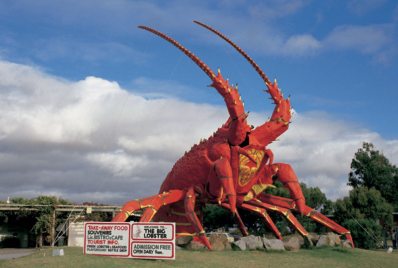 Illustrated Lobster